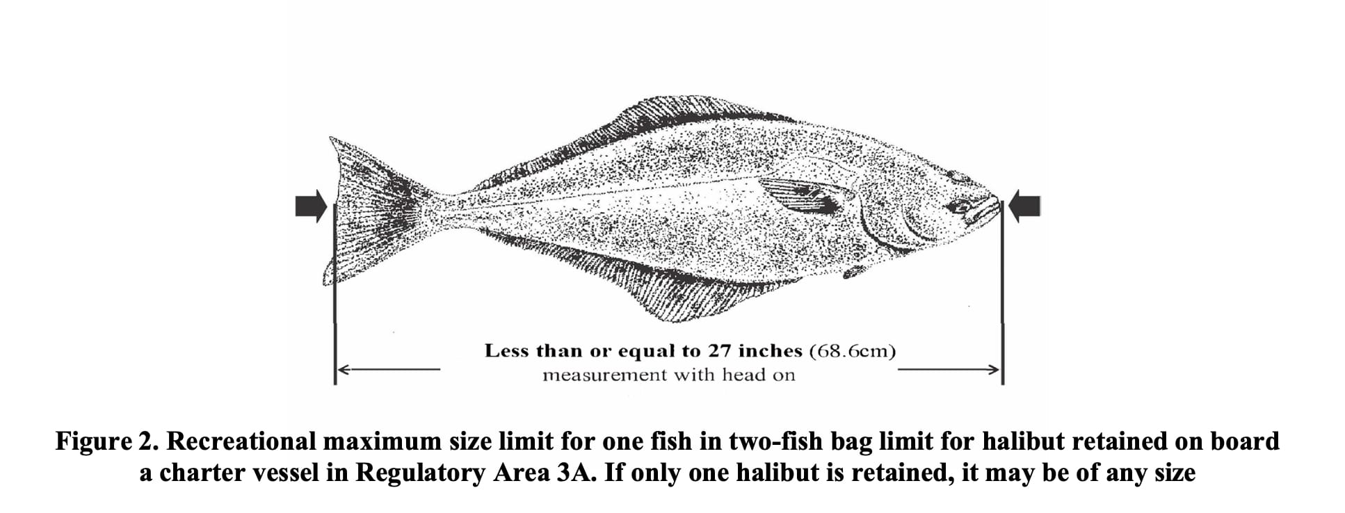 Halibut reg picture.jpg
